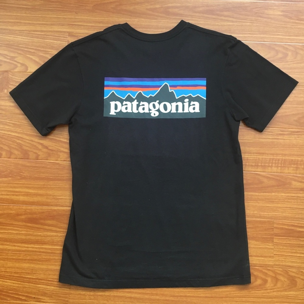PATAGONIA GREY TEE SHIRT